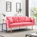 Casa Vita Loveseat Sofa - Peach Velvet Fabric - Metal Feet - CAB1395