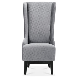 Wisteria 23" Wide High-Back Velvet Accent Chair - Gray - Birch Legs 