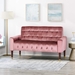 Wellesley Velvet Loveseat - Blush - Birch Wood Legs with Gold Accents - CAB3732