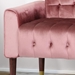 Wellesley Velvet Loveseat - Blush - Birch Wood Legs with Gold Accents - CAB3732