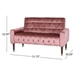 Wellesley Velvet Loveseat - Blush - Birch Wood Legs with Gold Accents - CAB3732