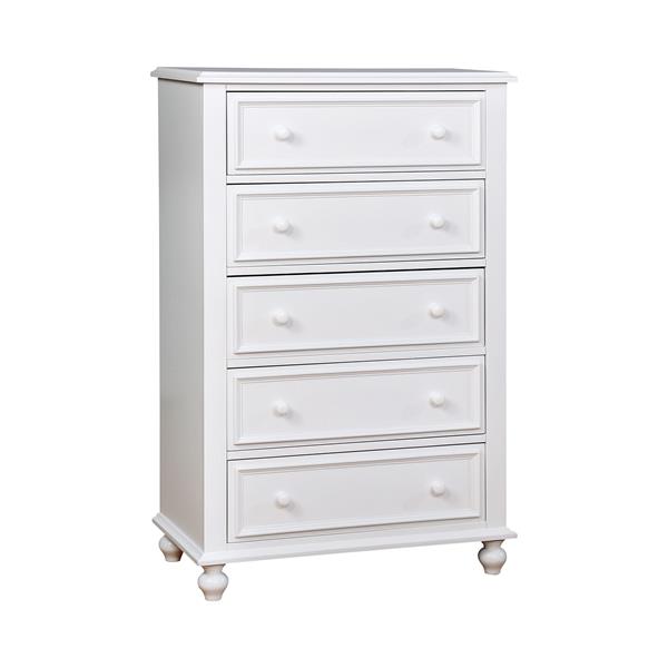 Ben Traditional 5-Drawer Chest in White 