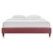 Harlow Queen Performance Velvet Platform Bed Frame - Dusty Rose - MOD10251