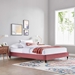 Harlow Queen Performance Velvet Platform Bed Frame - Dusty Rose - MOD10251