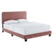 Celine Channel Tufted Performance Velvet Twin Bed - Dusty Rose - MOD11351