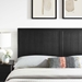 Robbie Queen Wood Headboard - Black - MOD8712