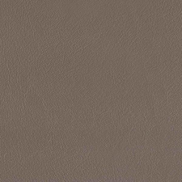 Taupe Brown